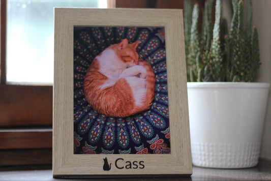 Pet Wood Picture Frame